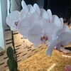 ariellee1991
